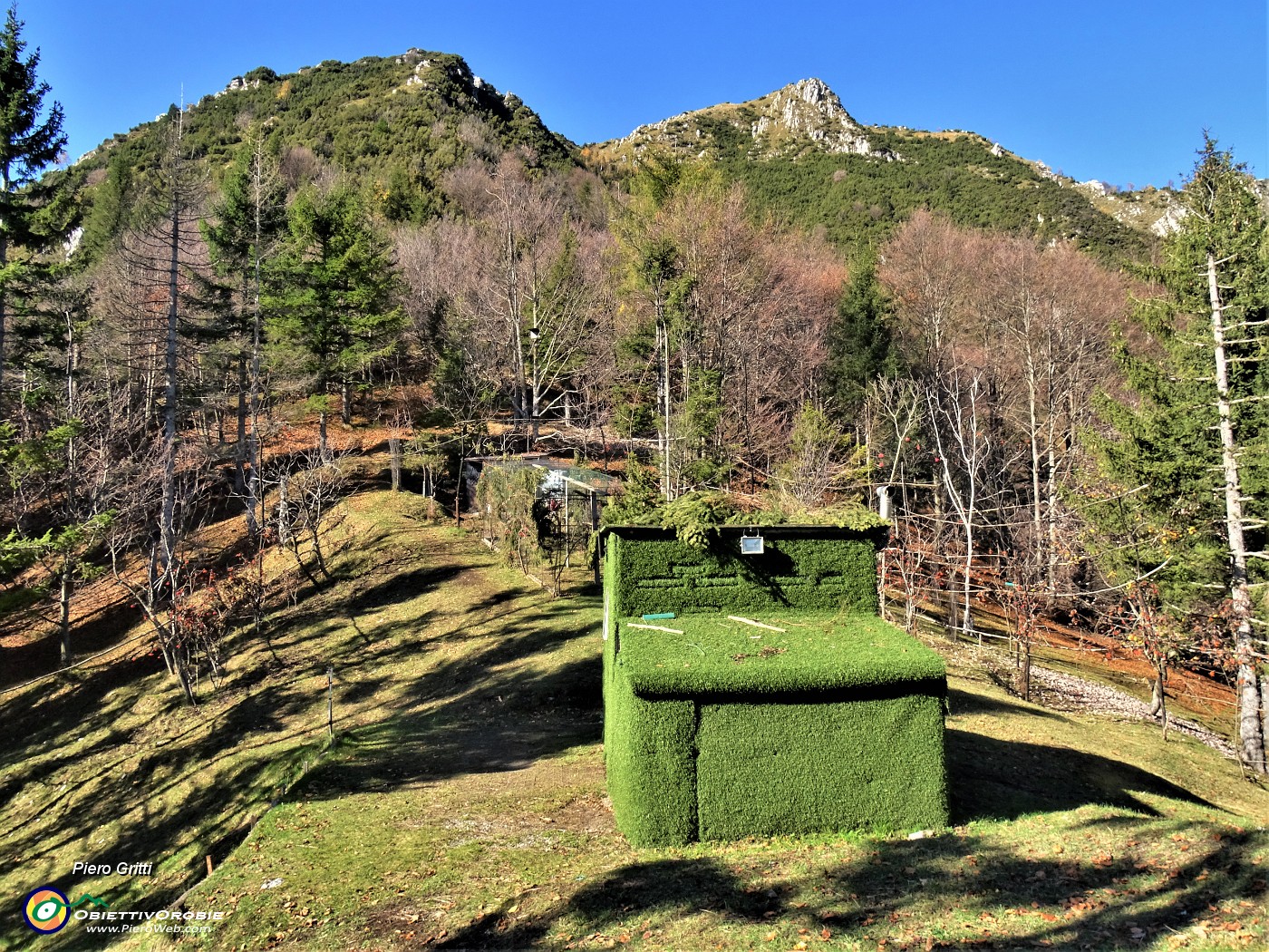 47 In alto sopra il pianoro prativo nel bosco bel capanno.JPG